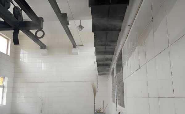 噴霧除臭的神奇原理揭秘 噴霧除臭的神奇原理揭秘